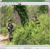 VLC screenshoot
